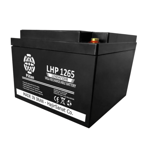 Types of Piltan batteries